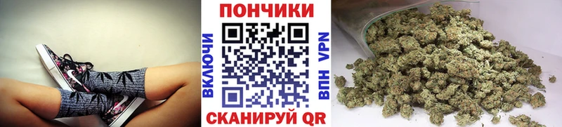 Купить закладки  Обоянь  Бошки Шишки план 